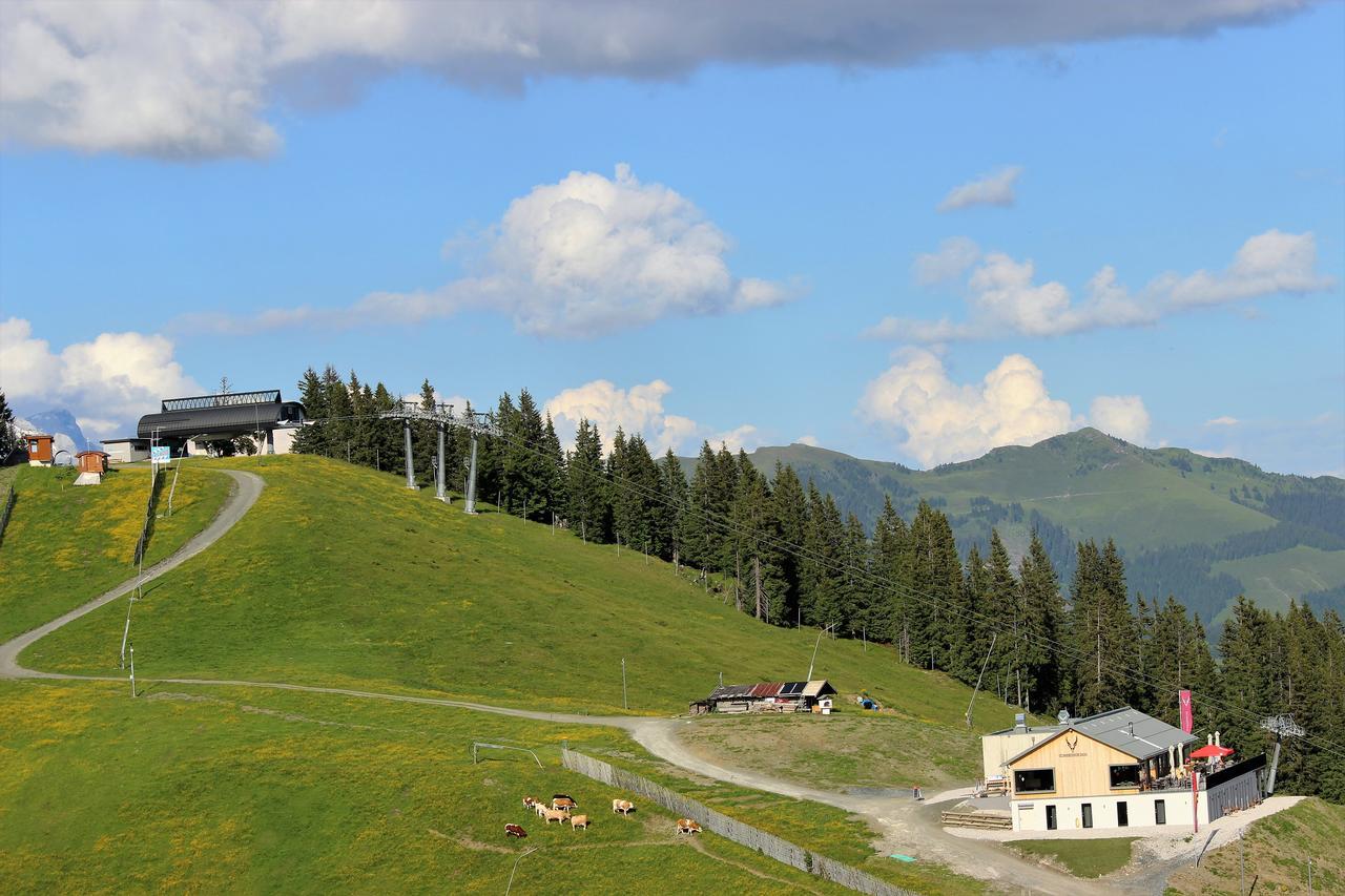 Schmiedhof Alm Hotel Zell am See Exterior foto